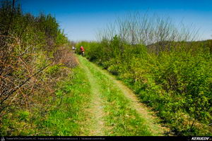 Trasee cu bicicleta MTB XC - Traseu MTB Topoloveni Bike Adventure - TBA Primavara 2015: Topoloveni - Botarcani - Crintesti - Glambocelu - Baila - Topoloveni (concurs MTB) de Andrei Vocurek