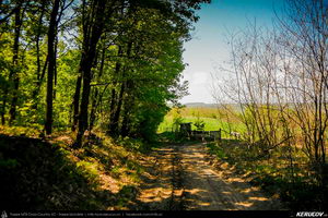 Trasee cu bicicleta MTB XC - Traseu MTB Topoloveni Bike Adventure - TBA Primavara 2015: Topoloveni - Botarcani - Crintesti - Glambocelu - Baila - Topoloveni (concurs MTB) de Andrei Vocurek