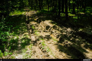 Trasee cu bicicleta MTB XC - Traseu MTB Topoloveni Bike Adventure - TBA Primavara 2015: Topoloveni - Botarcani - Crintesti - Glambocelu - Baila - Topoloveni (concurs MTB) de Andrei Vocurek
