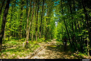 Trasee cu bicicleta MTB XC - Traseu MTB Topoloveni Bike Adventure - TBA Primavara 2015: Topoloveni - Botarcani - Crintesti - Glambocelu - Baila - Topoloveni (concurs MTB) de Andrei Vocurek