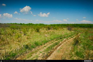 Trasee cu bicicleta MTB XC - Traseu MTB Topoloveni Bike Adventure - TBA Primavara 2015: Topoloveni - Botarcani - Crintesti - Glambocelu - Baila - Topoloveni (concurs MTB) de Andrei Vocurek