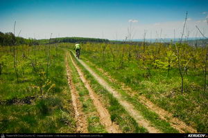 Trasee cu bicicleta MTB XC - Traseu MTB Topoloveni Bike Adventure - TBA Primavara 2015: Topoloveni - Botarcani - Crintesti - Glambocelu - Baila - Topoloveni (concurs MTB) de Andrei Vocurek