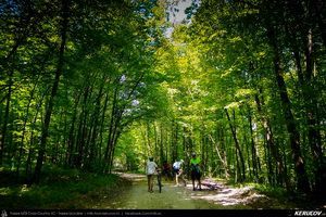 Trasee cu bicicleta MTB XC - Traseu MTB Topoloveni Bike Adventure - TBA Primavara 2015: Topoloveni - Botarcani - Crintesti - Glambocelu - Baila - Topoloveni (concurs MTB) de Andrei Vocurek