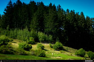Trasee cu bicicleta MTB XC - Traseu MTB Zarnesti - Predelut - Bran - Predelut - Zarnesti (varianta familie, copil de 1 an) de Andrei Vocurek