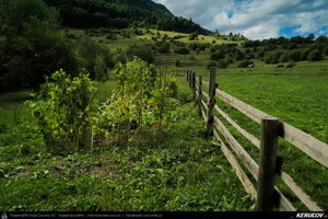 Trasee cu bicicleta MTB XC - Traseu MTB Zarnesti - Predelut - Bran - Predelut - Zarnesti (varianta familie, copil de 1 an) de Andrei Vocurek