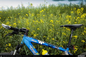 Trasee cu bicicleta MTB XC - Traseu MTB Bucuresti - Cozieni - Ganeasa - Sindrilita - Cojesti - Belciugatele - Branesti de Andrei Vocurek