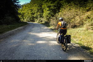 Trasee cu bicicleta MTB XC - Traseu MTB Zarnesti - Magura - Pestera - Moieciu - Bran - Predelut - Zarnesti (varianta familie, copil de 2 ani) de Andrei Vocurek