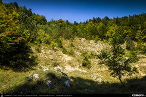 Trasee cu bicicleta MTB XC - Traseu MTB Zarnesti - Magura - Pestera - Moieciu - Bran - Predelut - Zarnesti (varianta familie, copil de 2 ani) de Andrei Vocurek