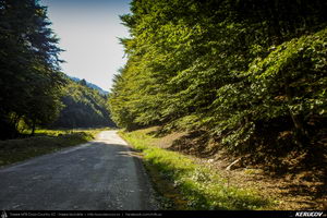 Trasee cu bicicleta MTB XC - Traseu MTB Zarnesti - Magura - Pestera - Moieciu - Bran - Predelut - Zarnesti (varianta familie, copil de 2 ani) de Andrei Vocurek