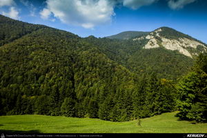 Trasee cu bicicleta MTB XC - Traseu MTB Zarnesti - Magura - Pestera - Moieciu - Bran - Predelut - Zarnesti (varianta familie, copil de 2 ani) de Andrei Vocurek