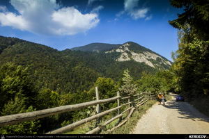 Trasee cu bicicleta MTB XC - Traseu MTB Zarnesti - Magura - Pestera - Moieciu - Bran - Predelut - Zarnesti (varianta familie, copil de 2 ani) de Andrei Vocurek