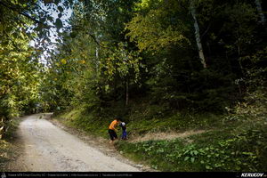 Trasee cu bicicleta MTB XC - Traseu MTB Zarnesti - Magura - Pestera - Moieciu - Bran - Predelut - Zarnesti (varianta familie, copil de 2 ani) de Andrei Vocurek