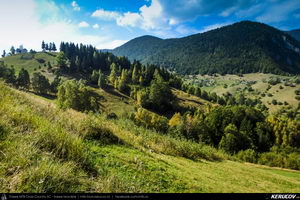 Trasee cu bicicleta MTB XC - Traseu MTB Zarnesti - Magura - Pestera - Moieciu - Bran - Predelut - Zarnesti (varianta familie, copil de 2 ani) de Andrei Vocurek