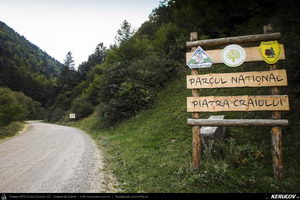 Trasee cu bicicleta MTB XC - Traseu MTB Zarnesti - Magura - Pestera - Moieciu - Bran - Predelut - Zarnesti (varianta familie, copil de 2 ani) de Andrei Vocurek