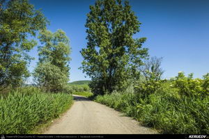 Trasee cu bicicleta MTB XC - Traseu MTB Nocrich - Ghijasa de Jos - Nocrich - Tichindeal - Nocrich (varianta familie, copil de 2 ani) de Andrei Vocurek