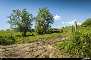 Trasee cu bicicleta MTB XC - Traseu MTB Nocrich - Ghijasa de Jos - Nocrich - Tichindeal - Nocrich (varianta familie, copil de 2 ani) de Andrei Vocurek