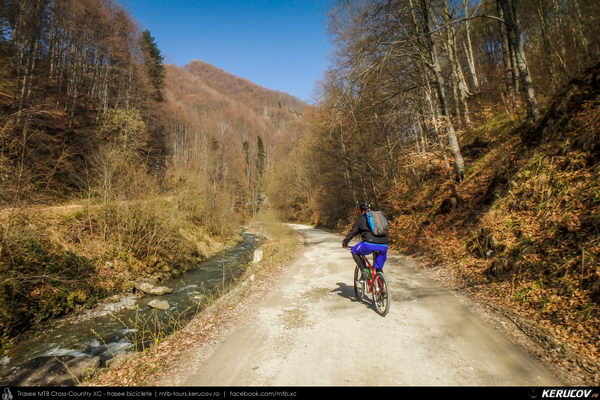 Trasee cu bicicleta MTB XC - Traseu MTB Pietrosita - Dealu Frumos - Runcu - Valea Runcului - Piatra - Badeni - Fieni (Muntii Leaota, Manastirea Runcu) de Andrei Vocurek