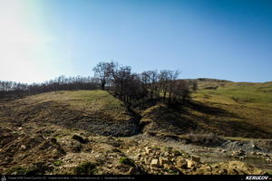 Trasee cu bicicleta MTB XC - Traseu MTB Pietrosita - Dealu Frumos - Runcu - Valea Runcului - Piatra - Badeni - Fieni (Muntii Leaota, Manastirea Runcu) de Andrei Vocurek