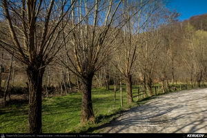 Trasee cu bicicleta MTB XC - Traseu MTB Pietrosita - Dealu Frumos - Runcu - Valea Runcului - Piatra - Badeni - Fieni (Muntii Leaota, Manastirea Runcu) de Andrei Vocurek