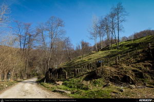 Trasee cu bicicleta MTB XC - Traseu MTB Pietrosita - Dealu Frumos - Runcu - Valea Runcului - Piatra - Badeni - Fieni (Muntii Leaota, Manastirea Runcu) de Andrei Vocurek