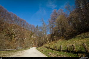 Trasee cu bicicleta MTB XC - Traseu MTB Pietrosita - Dealu Frumos - Runcu - Valea Runcului - Piatra - Badeni - Fieni (Muntii Leaota, Manastirea Runcu) de Andrei Vocurek