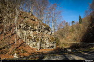Trasee cu bicicleta MTB XC - Traseu MTB Pietrosita - Dealu Frumos - Runcu - Valea Runcului - Piatra - Badeni - Fieni (Muntii Leaota, Manastirea Runcu) de Andrei Vocurek