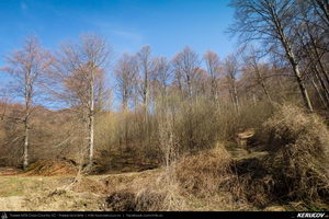 Trasee cu bicicleta MTB XC - Traseu MTB Pietrosita - Dealu Frumos - Runcu - Valea Runcului - Piatra - Badeni - Fieni (Muntii Leaota, Manastirea Runcu) de Andrei Vocurek