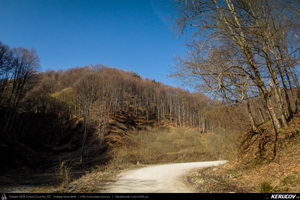 Trasee cu bicicleta MTB XC - Traseu MTB Pietrosita - Dealu Frumos - Runcu - Valea Runcului - Piatra - Badeni - Fieni (Muntii Leaota, Manastirea Runcu) de Andrei Vocurek