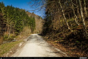 Trasee cu bicicleta MTB XC - Traseu MTB Pietrosita - Dealu Frumos - Runcu - Valea Runcului - Piatra - Badeni - Fieni (Muntii Leaota, Manastirea Runcu) de Andrei Vocurek