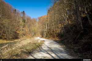 Trasee cu bicicleta MTB XC - Traseu MTB Pietrosita - Dealu Frumos - Runcu - Valea Runcului - Piatra - Badeni - Fieni (Muntii Leaota, Manastirea Runcu) de Andrei Vocurek