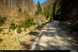 Trasee cu bicicleta MTB XC - Traseu MTB Pietrosita - Dealu Frumos - Runcu - Valea Runcului - Piatra - Badeni - Fieni (Muntii Leaota, Manastirea Runcu) de Andrei Vocurek