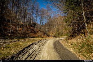 Trasee cu bicicleta MTB XC - Traseu MTB Pietrosita - Dealu Frumos - Runcu - Valea Runcului - Piatra - Badeni - Fieni (Muntii Leaota, Manastirea Runcu) de Andrei Vocurek