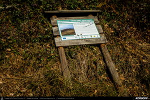 Trasee cu bicicleta MTB XC - Traseu MTB Pietrosita - Dealu Frumos - Runcu - Valea Runcului - Piatra - Badeni - Fieni (Muntii Leaota, Manastirea Runcu) de Andrei Vocurek