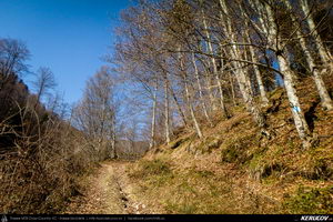Trasee cu bicicleta MTB XC - Traseu MTB Pietrosita - Dealu Frumos - Runcu - Valea Runcului - Piatra - Badeni - Fieni (Muntii Leaota, Manastirea Runcu) de Andrei Vocurek