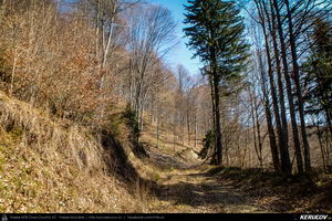 Trasee cu bicicleta MTB XC - Traseu MTB Pietrosita - Dealu Frumos - Runcu - Valea Runcului - Piatra - Badeni - Fieni (Muntii Leaota, Manastirea Runcu) de Andrei Vocurek