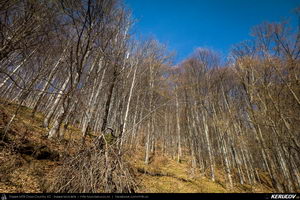 Trasee cu bicicleta MTB XC - Traseu MTB Pietrosita - Dealu Frumos - Runcu - Valea Runcului - Piatra - Badeni - Fieni (Muntii Leaota, Manastirea Runcu) de Andrei Vocurek