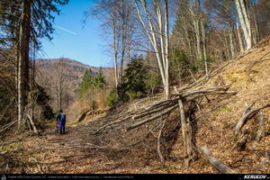 Trasee cu bicicleta MTB XC - Traseu MTB Pietrosita - Dealu Frumos - Runcu - Valea Runcului - Piatra - Badeni - Fieni (Muntii Leaota, Manastirea Runcu) de Andrei Vocurek