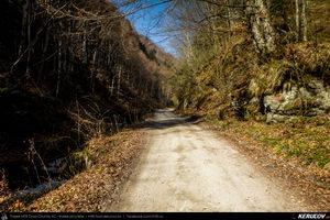 Trasee cu bicicleta MTB XC - Traseu MTB Pietrosita - Dealu Frumos - Runcu - Valea Runcului - Piatra - Badeni - Fieni (Muntii Leaota, Manastirea Runcu) de Andrei Vocurek