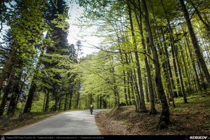 Trasee cu bicicleta MTB XC - Traseu MTB Muntii Bucegi: Sinaia - Cota 1400 - Stana Regala / Poiana Stanii - Sinaia (Schitul Sfanta Ana, Stancile Franz Joseph, Stanca Sfanta Ana, Castelul Peles) de Andrei Vocurek