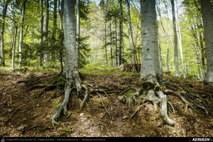 Trasee cu bicicleta MTB XC - Traseu MTB Muntii Bucegi: Sinaia - Cota 1400 - Stana Regala / Poiana Stanii - Sinaia (Schitul Sfanta Ana, Stancile Franz Joseph, Stanca Sfanta Ana, Castelul Peles) de Andrei Vocurek