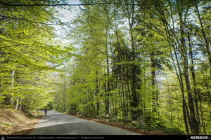 Trasee cu bicicleta MTB XC - Traseu MTB Muntii Bucegi: Sinaia - Cota 1400 - Stana Regala / Poiana Stanii - Sinaia (Schitul Sfanta Ana, Stancile Franz Joseph, Stanca Sfanta Ana, Castelul Peles) de Andrei Vocurek