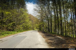 Trasee cu bicicleta MTB XC - Traseu MTB Muntii Bucegi: Sinaia - Cota 1400 - Stana Regala / Poiana Stanii - Sinaia (Schitul Sfanta Ana, Stancile Franz Joseph, Stanca Sfanta Ana, Castelul Peles) de Andrei Vocurek