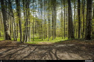Trasee cu bicicleta MTB XC - Traseu MTB Muntii Bucegi: Sinaia - Cota 1400 - Stana Regala / Poiana Stanii - Sinaia (Schitul Sfanta Ana, Stancile Franz Joseph, Stanca Sfanta Ana, Castelul Peles) de Andrei Vocurek