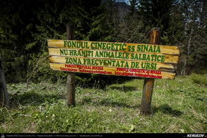 Trasee cu bicicleta MTB XC - Traseu MTB Muntii Bucegi: Sinaia - Cota 1400 - Stana Regala / Poiana Stanii - Sinaia (Schitul Sfanta Ana, Stancile Franz Joseph, Stanca Sfanta Ana, Castelul Peles) de Andrei Vocurek