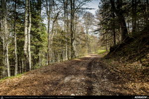 Trasee cu bicicleta MTB XC - Traseu MTB Muntii Bucegi: Sinaia - Cota 1400 - Stana Regala / Poiana Stanii - Sinaia (Schitul Sfanta Ana, Stancile Franz Joseph, Stanca Sfanta Ana, Castelul Peles) de Andrei Vocurek
