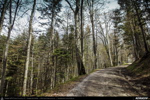 Trasee cu bicicleta MTB XC - Traseu MTB Muntii Bucegi: Sinaia - Cota 1400 - Stana Regala / Poiana Stanii - Sinaia (Schitul Sfanta Ana, Stancile Franz Joseph, Stanca Sfanta Ana, Castelul Peles) de Andrei Vocurek