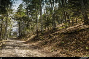 Trasee cu bicicleta MTB XC - Traseu MTB Muntii Bucegi: Sinaia - Cota 1400 - Stana Regala / Poiana Stanii - Sinaia (Schitul Sfanta Ana, Stancile Franz Joseph, Stanca Sfanta Ana, Castelul Peles) de Andrei Vocurek