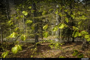 Trasee cu bicicleta MTB XC - Traseu MTB Muntii Bucegi: Sinaia - Cota 1400 - Stana Regala / Poiana Stanii - Sinaia (Schitul Sfanta Ana, Stancile Franz Joseph, Stanca Sfanta Ana, Castelul Peles) de Andrei Vocurek