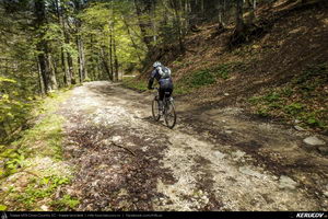 Trasee cu bicicleta MTB XC - Traseu MTB Muntii Bucegi: Sinaia - Cota 1400 - Stana Regala / Poiana Stanii - Sinaia (Schitul Sfanta Ana, Stancile Franz Joseph, Stanca Sfanta Ana, Castelul Peles) de Andrei Vocurek