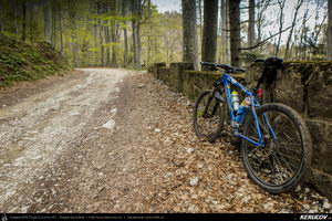 Trasee cu bicicleta MTB XC - Traseu MTB Muntii Bucegi: Sinaia - Cota 1400 - Stana Regala / Poiana Stanii - Sinaia (Schitul Sfanta Ana, Stancile Franz Joseph, Stanca Sfanta Ana, Castelul Peles) de Andrei Vocurek